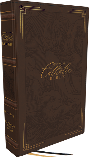 NRSVCE Illustrated Catholic Bible